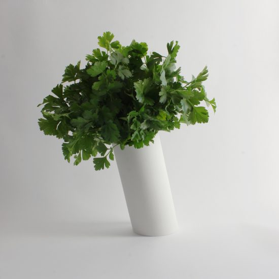 PISA modern vase