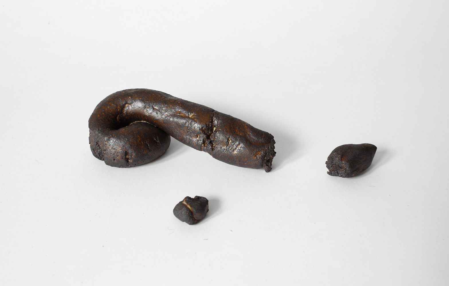 dog shit 19 by ORTOGONALE