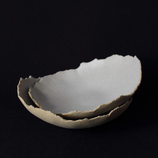 Fine dining plates for chef Fine dining plates for chef